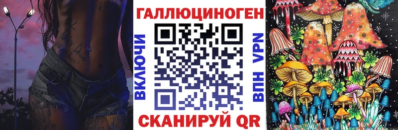 Псилоцибиновые грибы Psilocybine cubensis  Новотроицк 