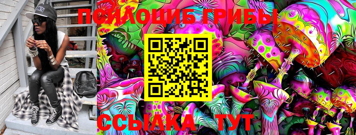 Псилоцибиновые грибы MAGIC MUSHROOMS Новотроицк