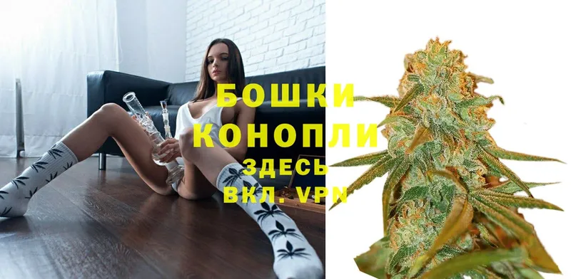 купить   Новотроицк  Конопля SATIVA & INDICA 